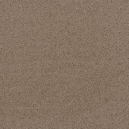 SFI Friends - 4449 Chandler II